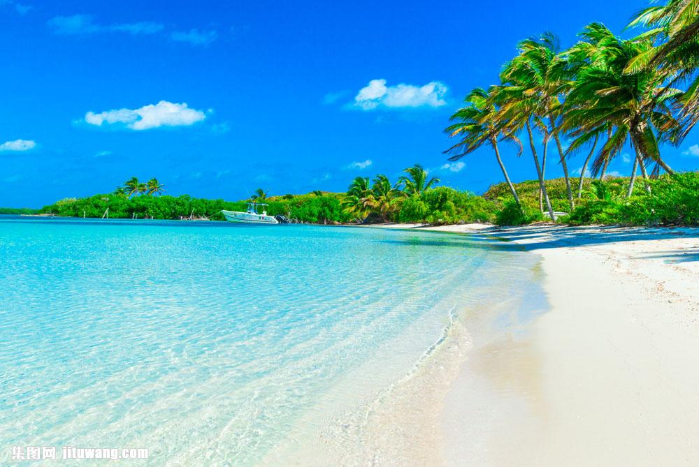 蓝天白云海边沙滩风景摄影图片,椰子树,蓝天,白云,大海,海水,海岛