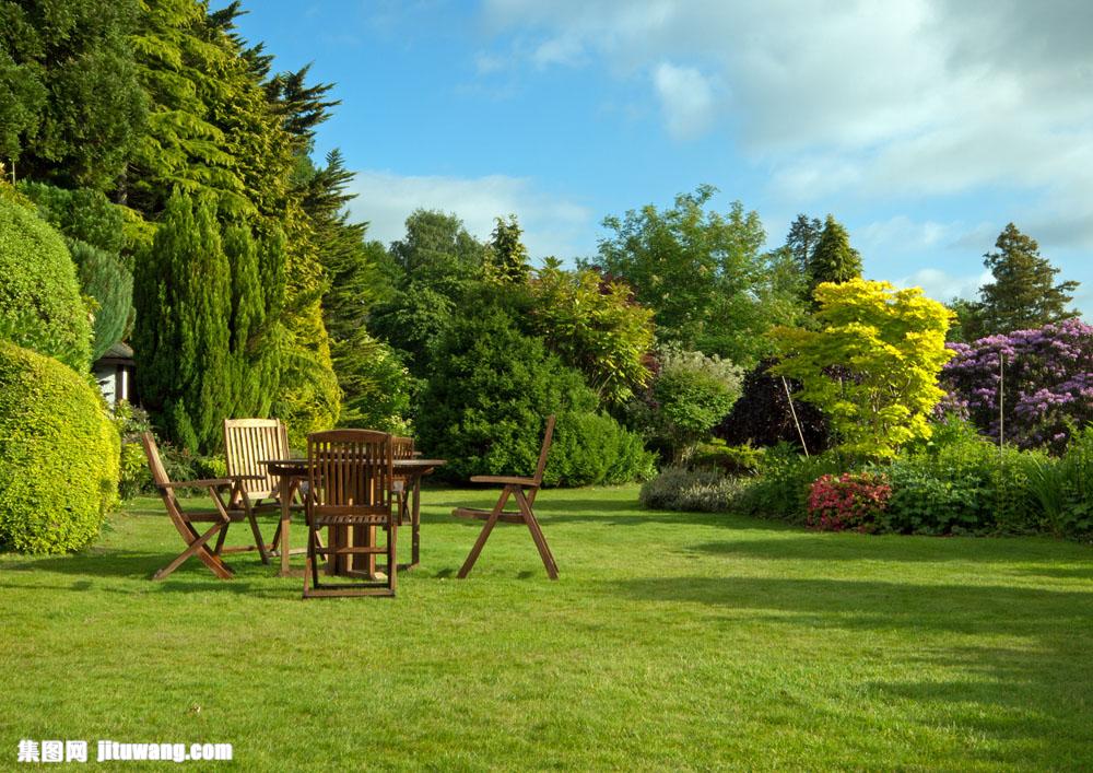 休闲桌椅,鲜花,香槟,绿色,树木,天空,蓝天,白云,草地,花园,庭院,桌子