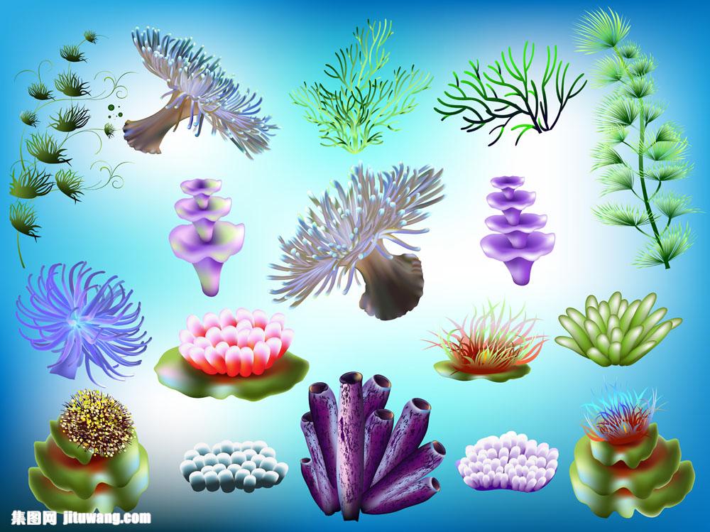 海洋植物漫画  收藏 关键词:海洋植物漫画图片下载,海洋生物,海底植物