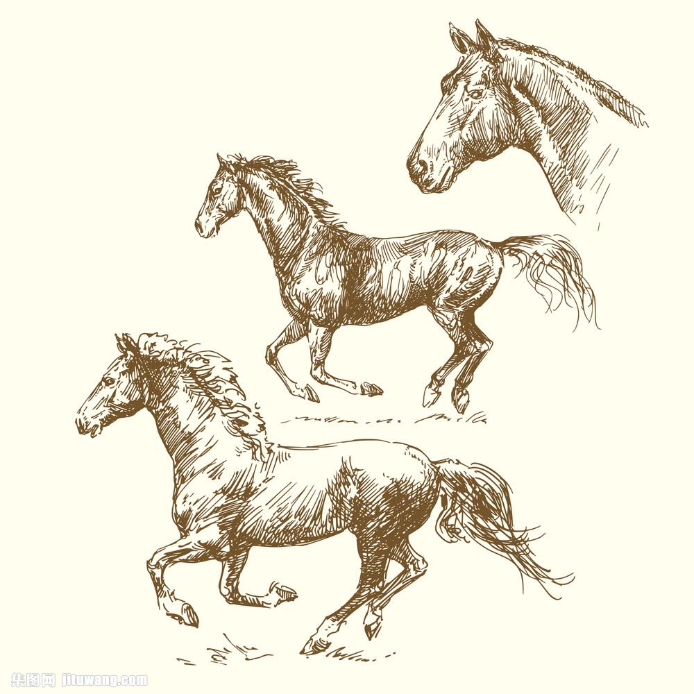 马匹的绘画