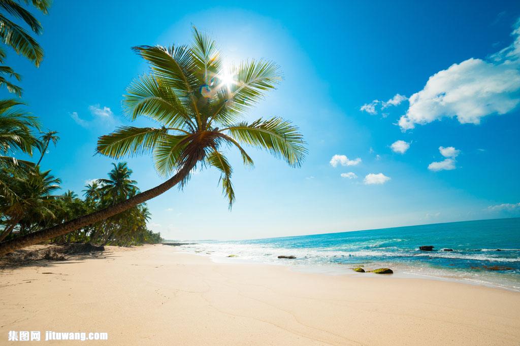 关键词:大海沙滩椰子树图片下载,海滩,沙滩,大海,海水,海面,蓝天大海