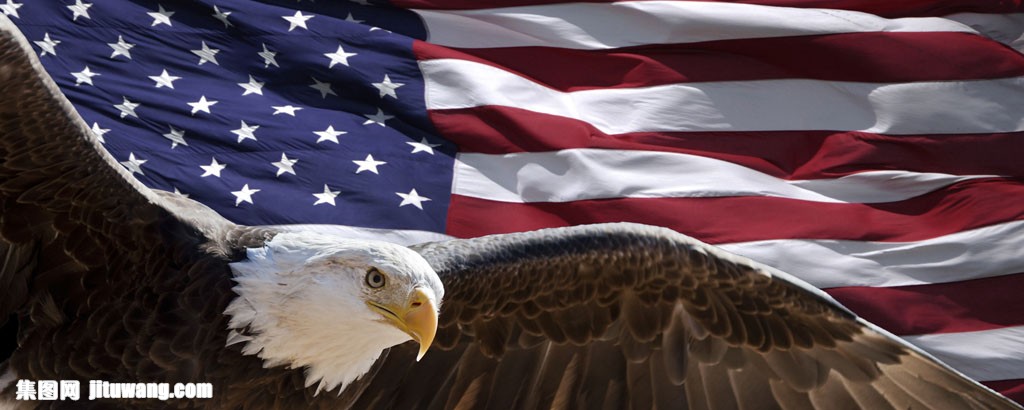 老鹰和美国国旗