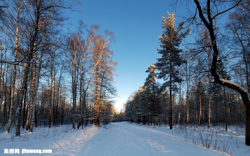 集图网 图片素材 自然风景 树林道路雪景    收藏 关键词:树林道路