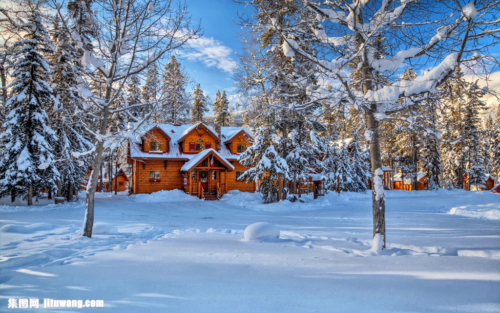 雪花,雪地,树林,大树,雪地美景,冬季风景,雪景,冬天景色壁纸,房屋