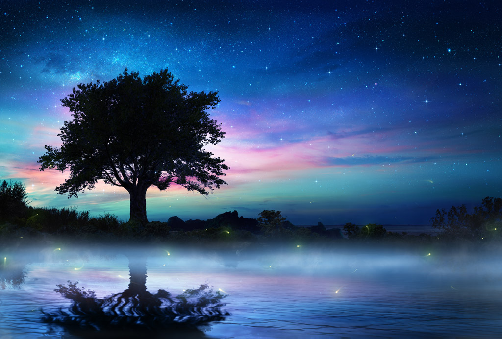 关键词:湖泊树木星空风景图片下载,湖泊风景,星空,繁星,夜空,美丽风景