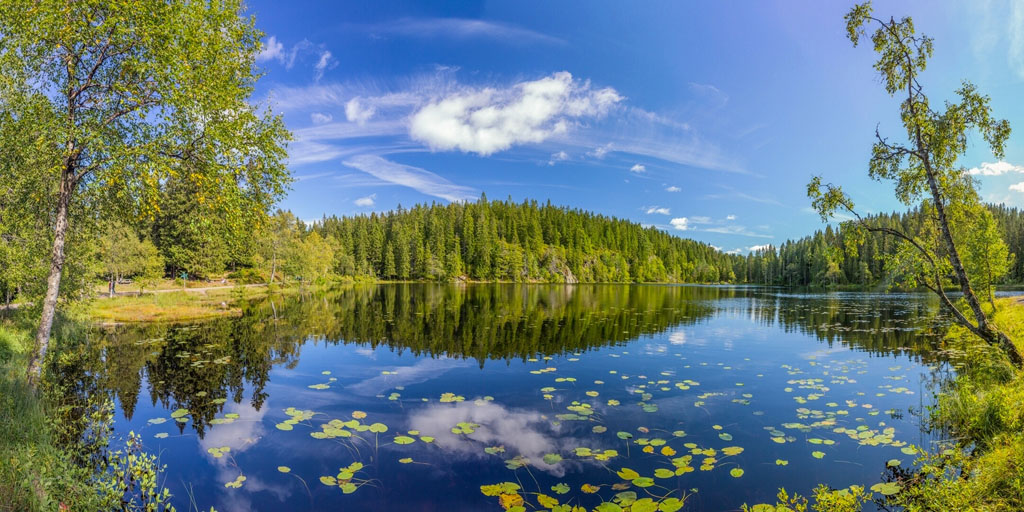 湖边森林景色 图片素材下载-自然风景-自然景观-图片