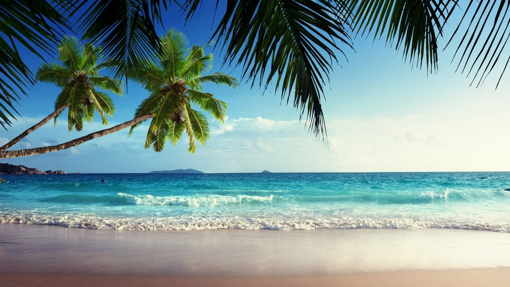 大海椰子树风光 图片素材下载-自然风景-自然景观