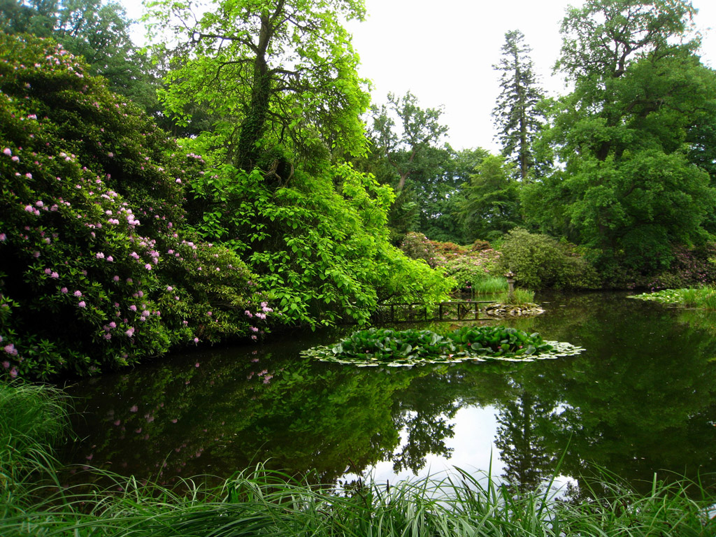 河流绿树风光图片下载,粉色花朵,河流,绿树,山水风光,大山,青山绿水