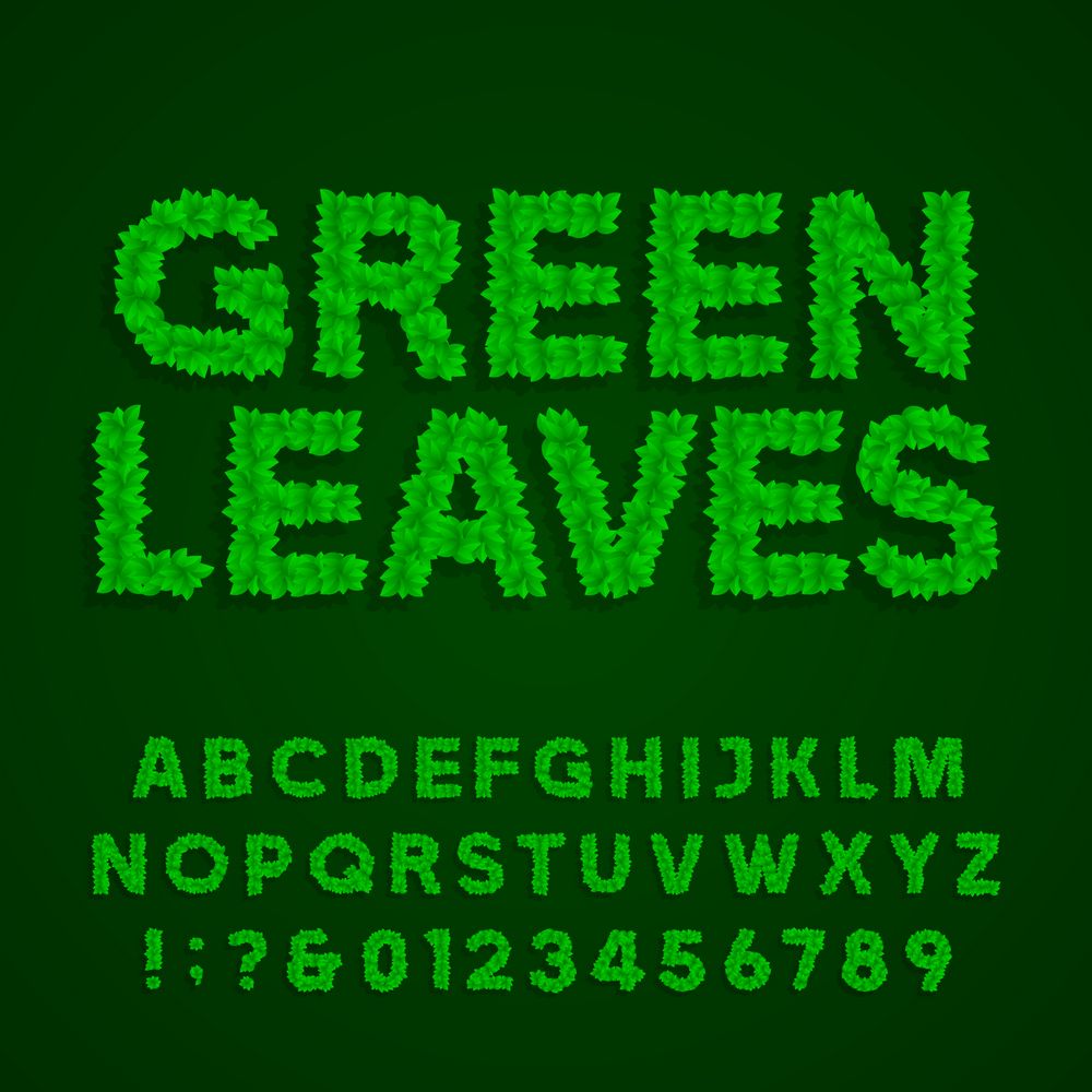 绿色草地字母字体