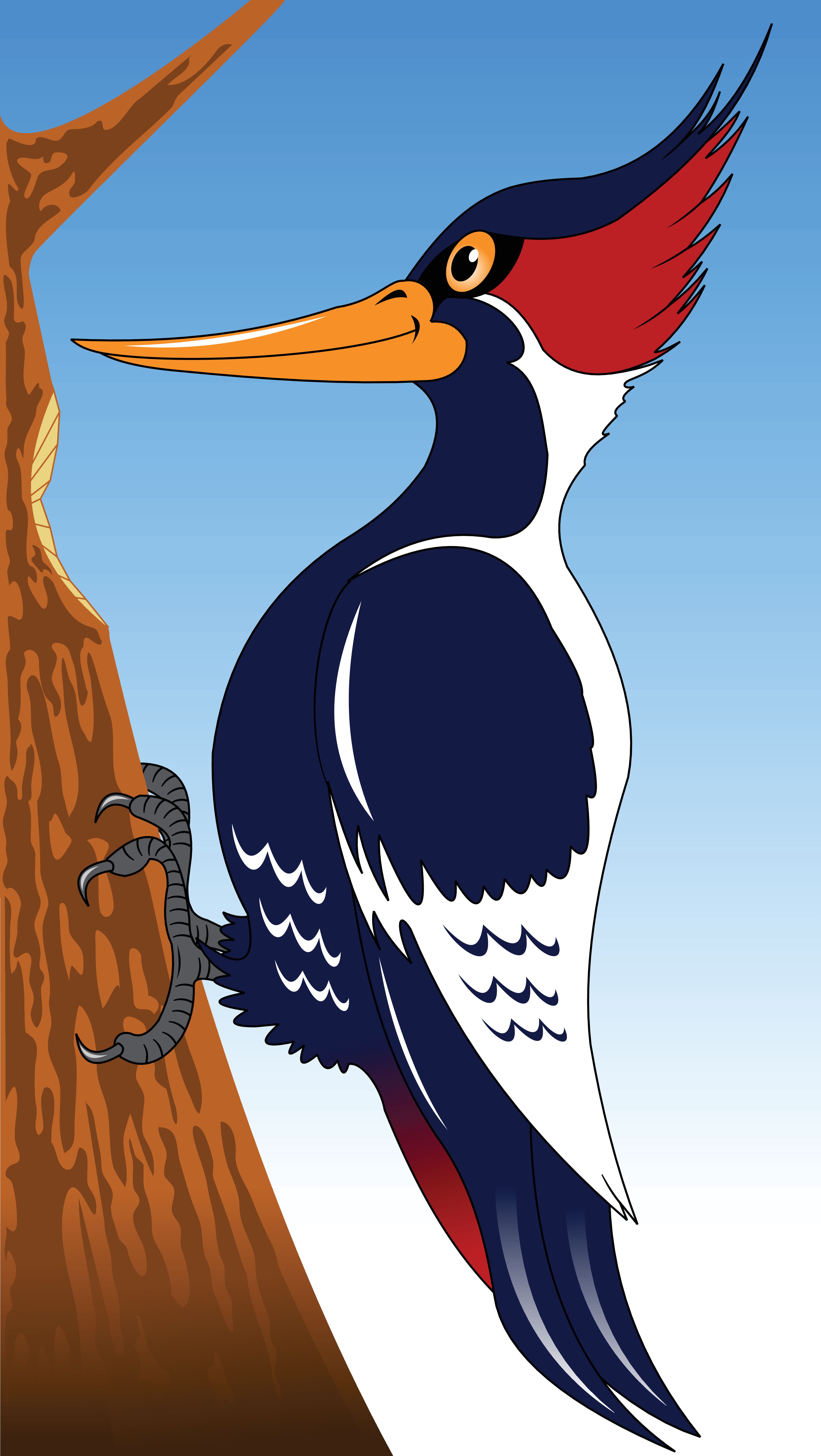 矢量插图的鸟啄木鸟卡通图片-商业图片-正版原创图片下载购买-VEER图片库