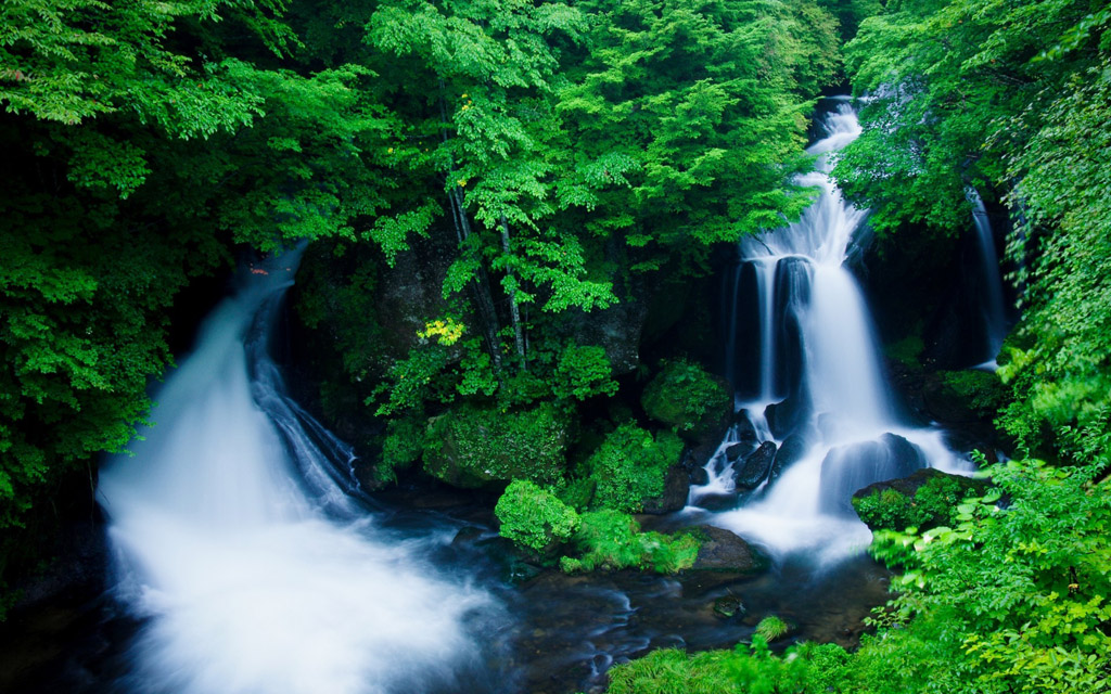 瀑布绿树 图片素材下载-自然风景-自然景观-图片素材