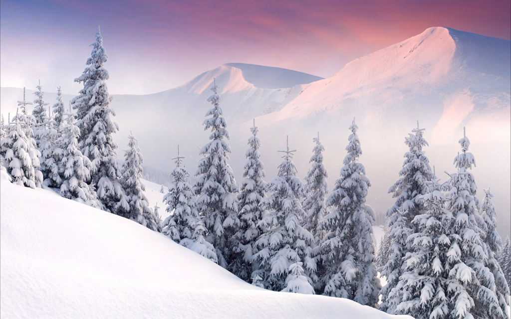 冬季雪山与树林