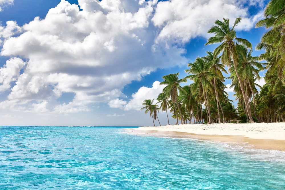 集图网 图片素材 自然风景 白云大海椰子树  收藏 关键词:白云大海