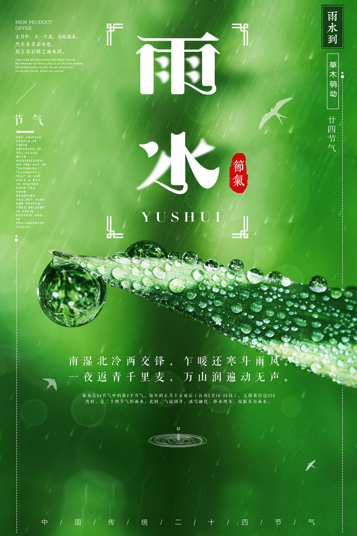 绿叶上的水珠雨水节气海报