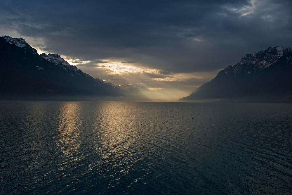 景观,湖,山,薄雾,太阳光线,冬季,黑暗,云,雪峰,鸟类,阳光,瑞士,大