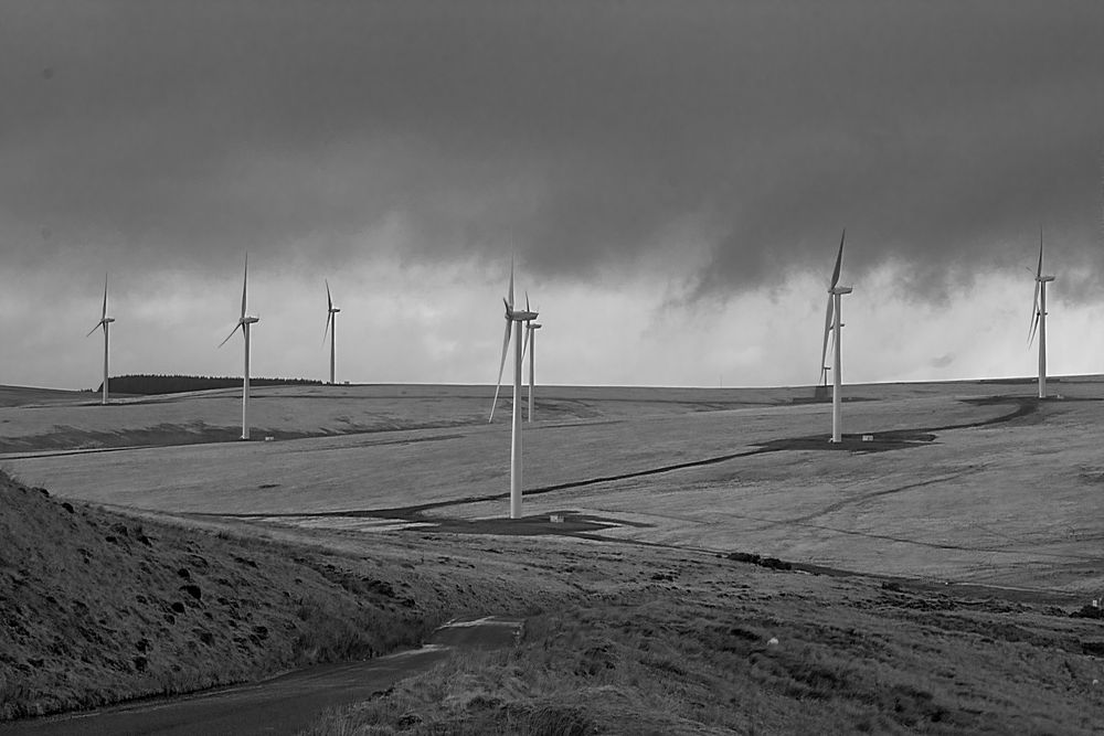 许多风力发电风车坐落在草原上 第1页