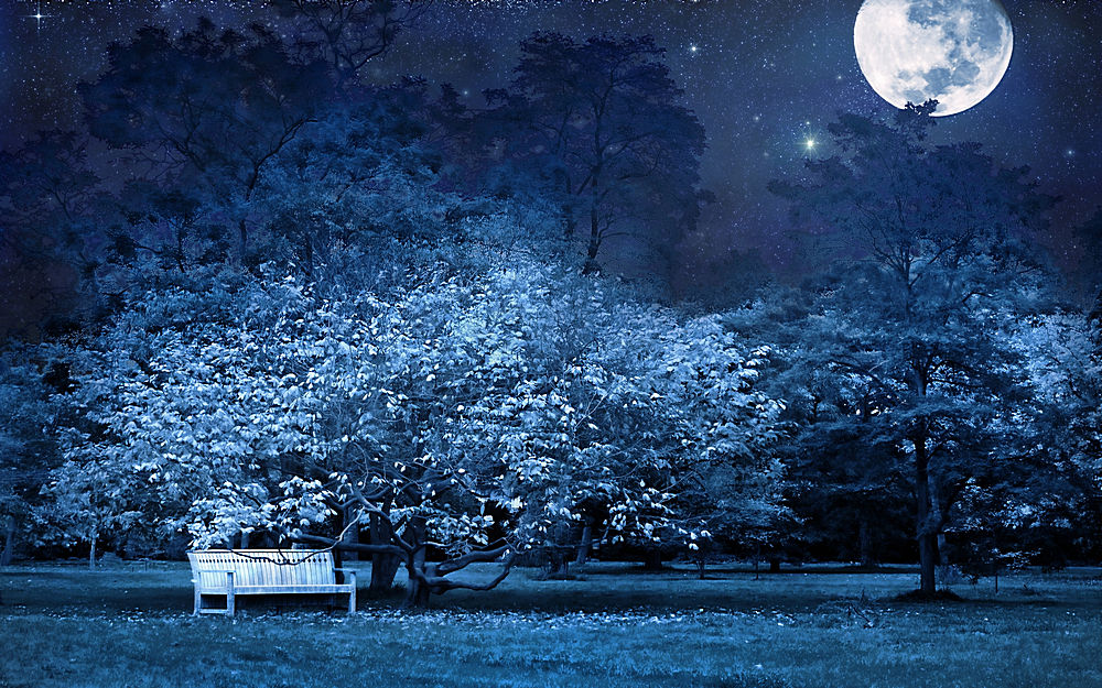 夜晚的公园