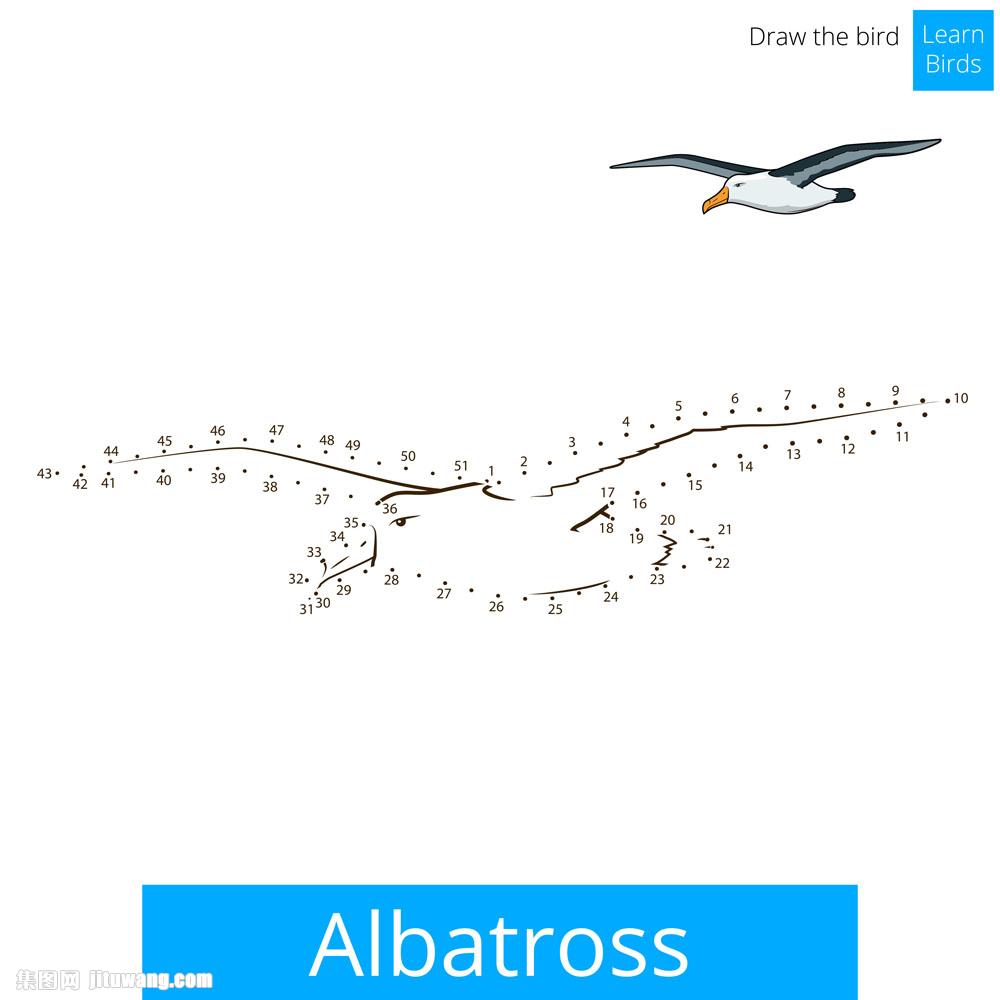 海鸥数字连线插画
