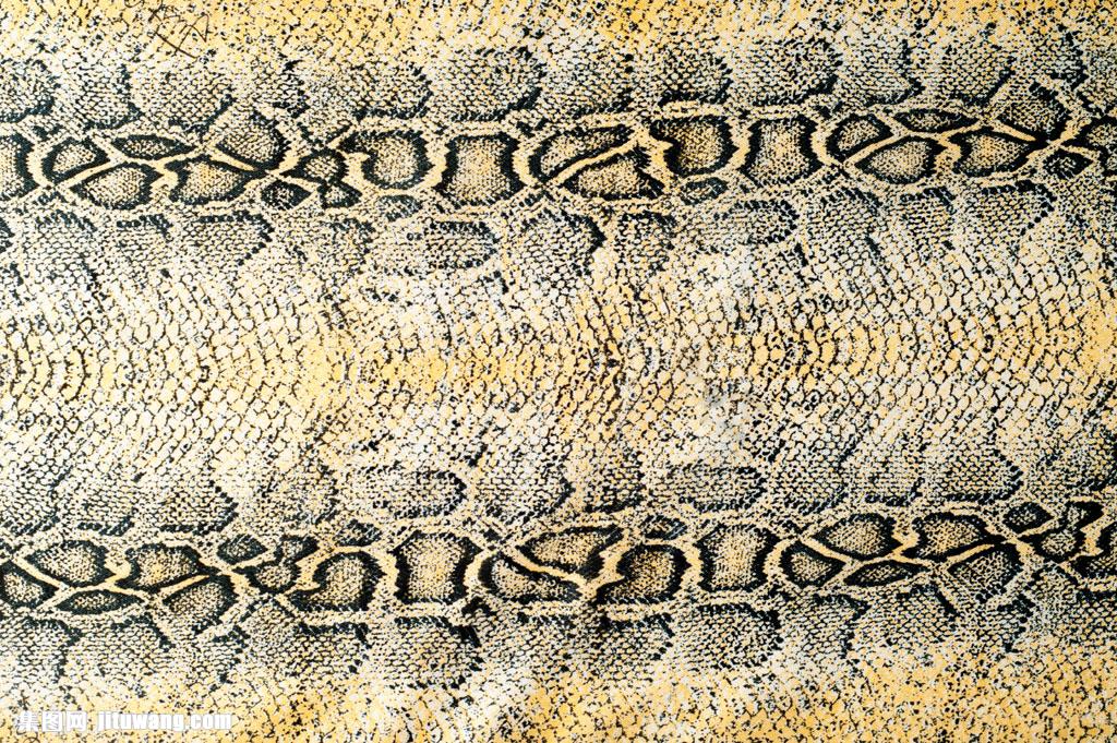 黄黑相间横向蛇皮纹理背景