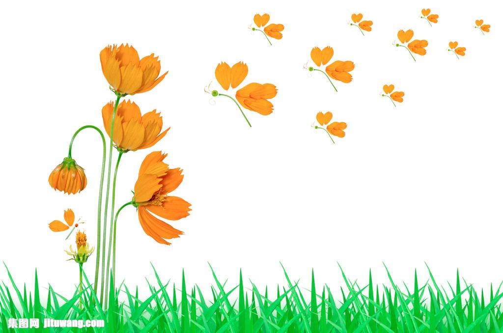 草地黄色花朵 图片素材下载-花草树木-生物世界-图片素材 - 集图网