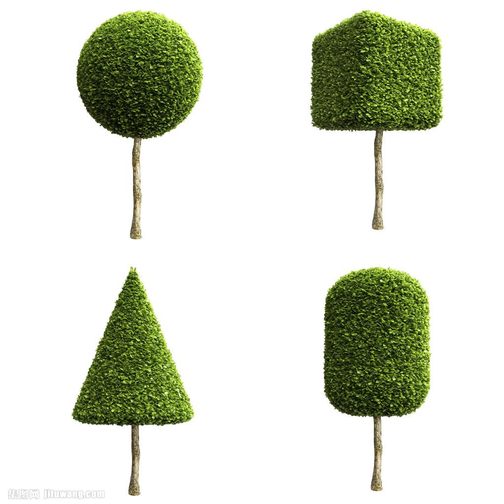 艺术景观树 图片素材下载-花草树木-生物世界-图片素材 - 集图网 www.