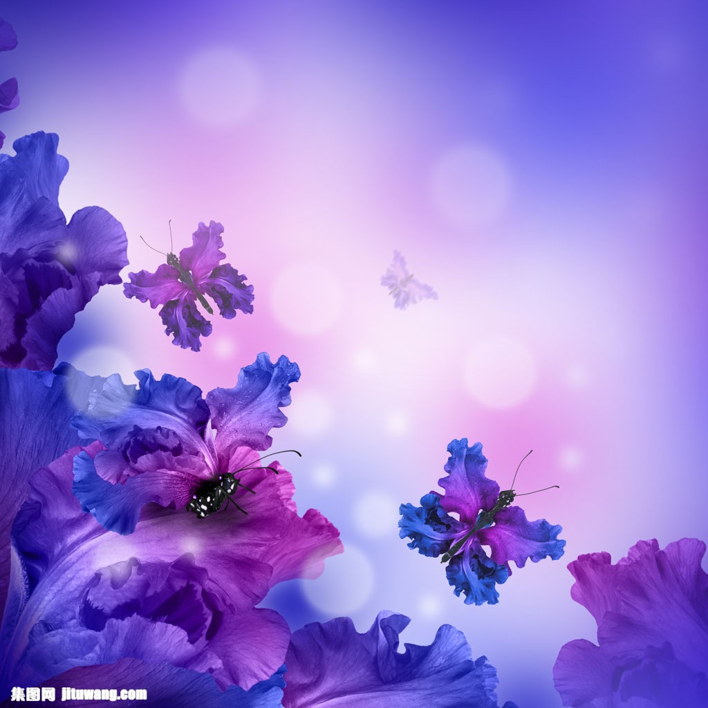 紫色花朵梦幻背景图片素材下载(图片id:816995)