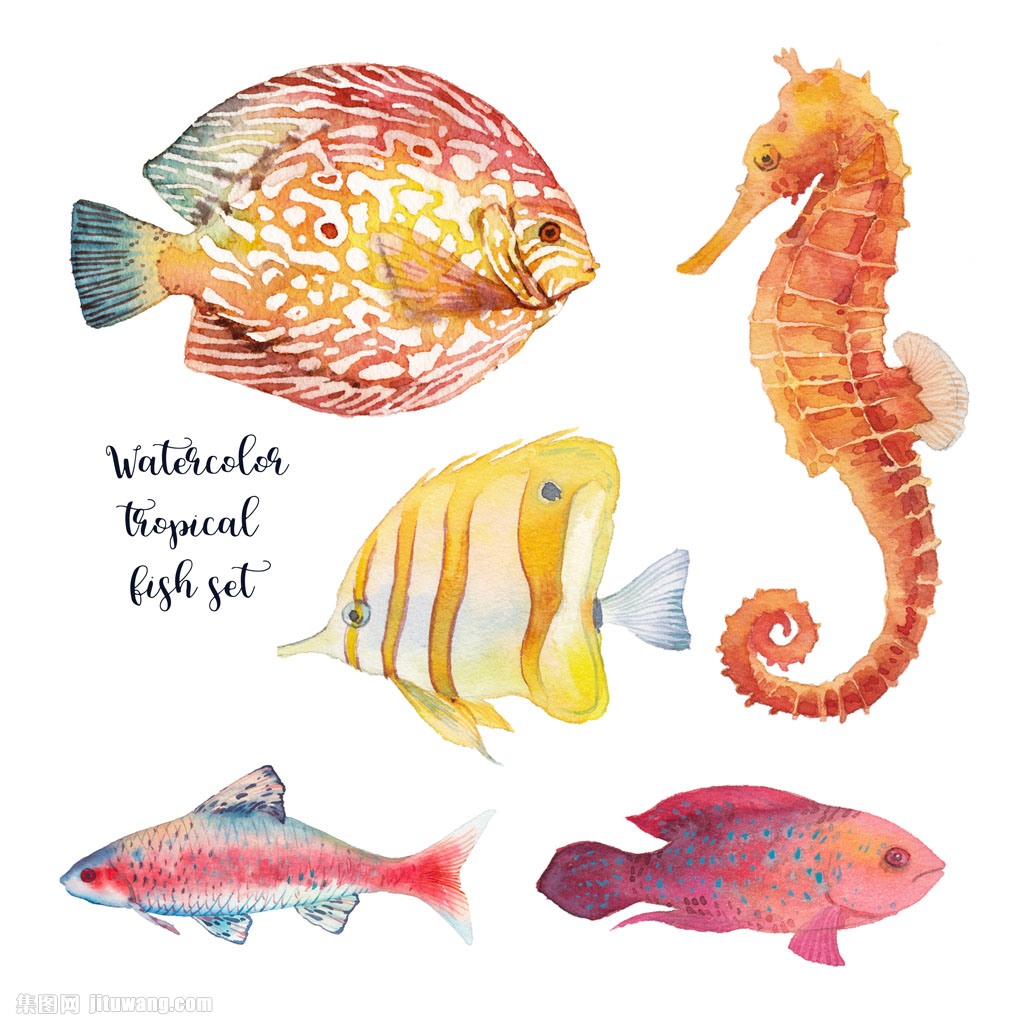 Watercolor_coral_and_fishes_illustration (1)