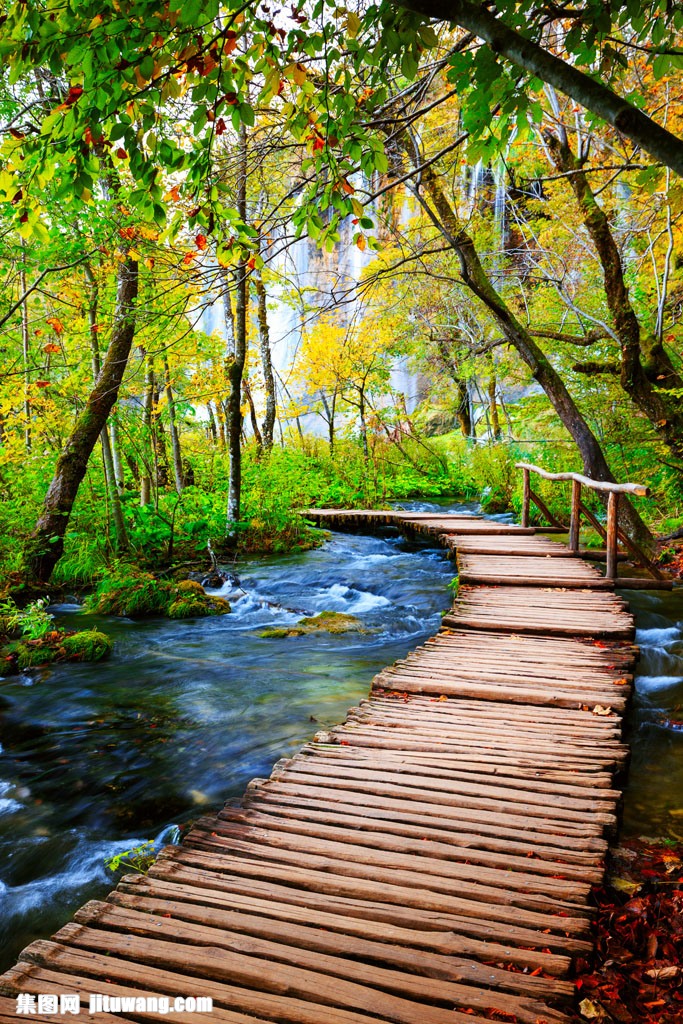树林小溪木栈道图片