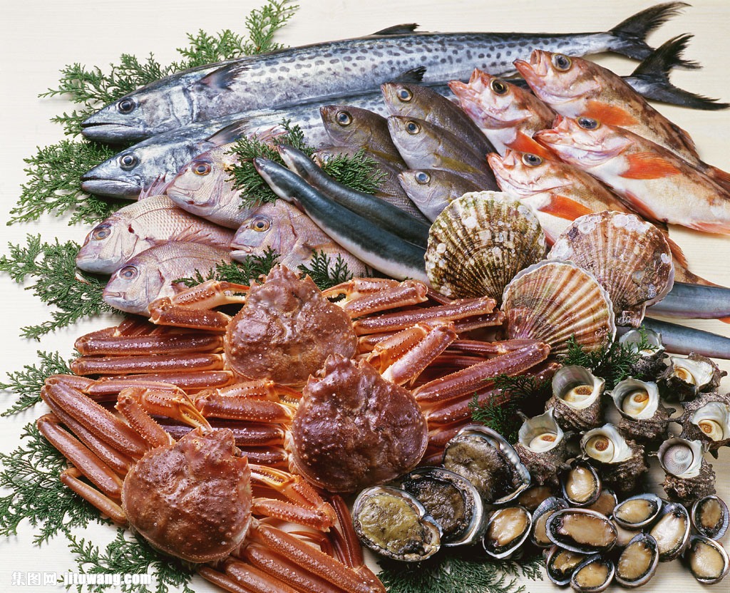海鲜的品种大全带图片图片