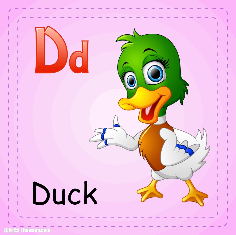 鸭子的英文怎么写图片