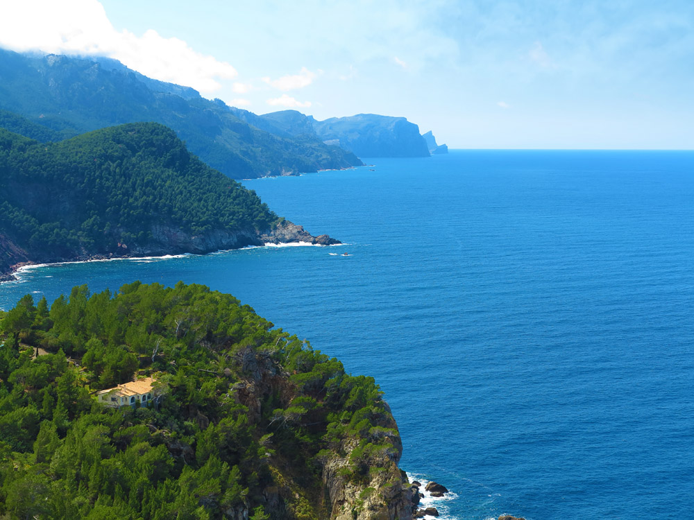 海岸樹林山脈風景