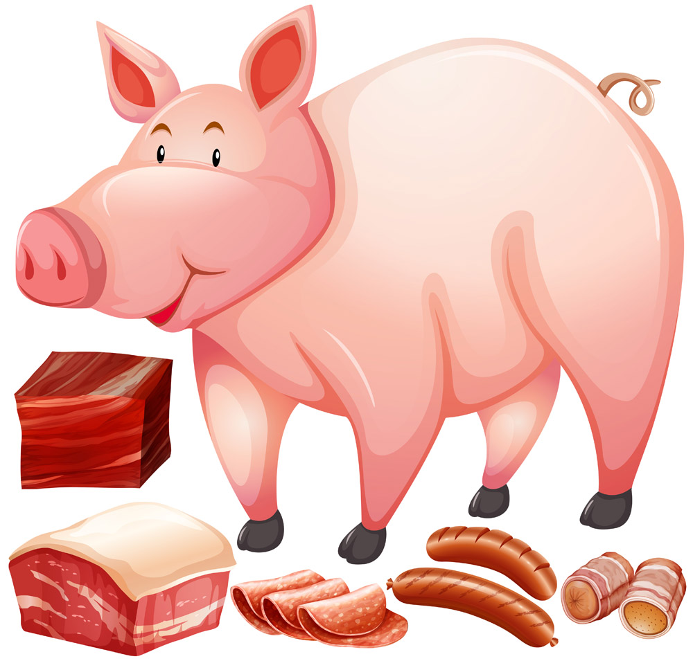猪和肉片矢量图片,猪,肉,鲜肉,生肉,肉类,食物原料,食材原料,卡通肉食