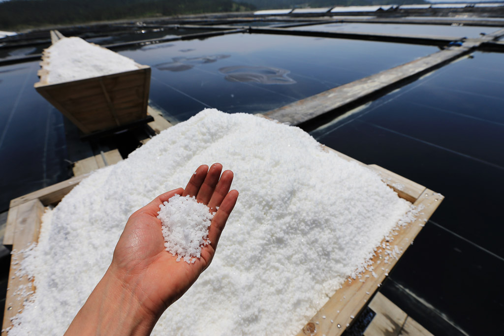 盐场的晶盐图片