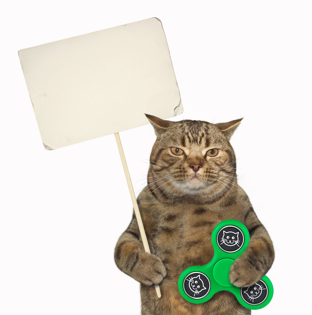 猫猫举牌子表情包图片