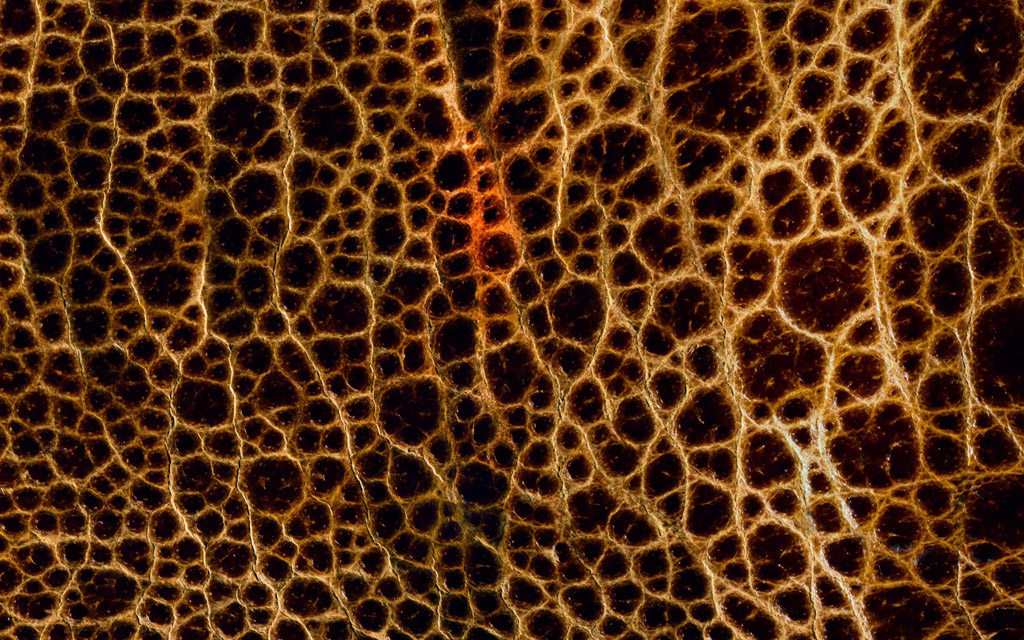 收藏 关键词:镂空复古网状背景图片下载,复古镂空,网状,时尚创意壁纸