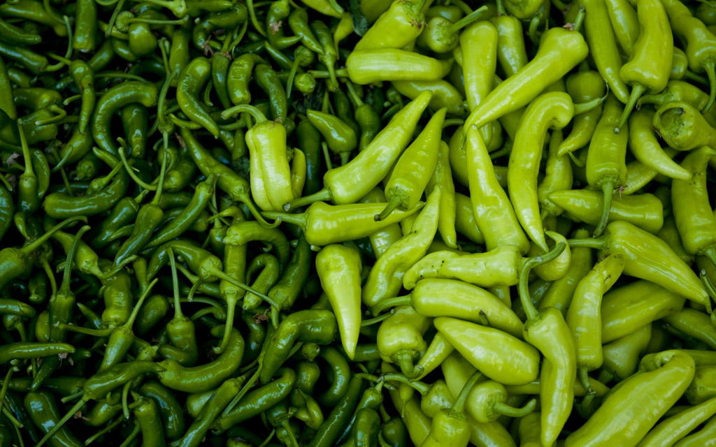 新鲜辣椒摄影图片