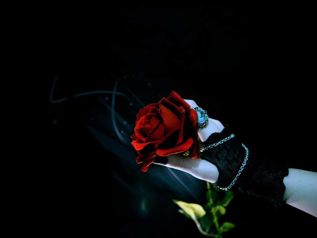 玫瑰花伤感 凄凉图片