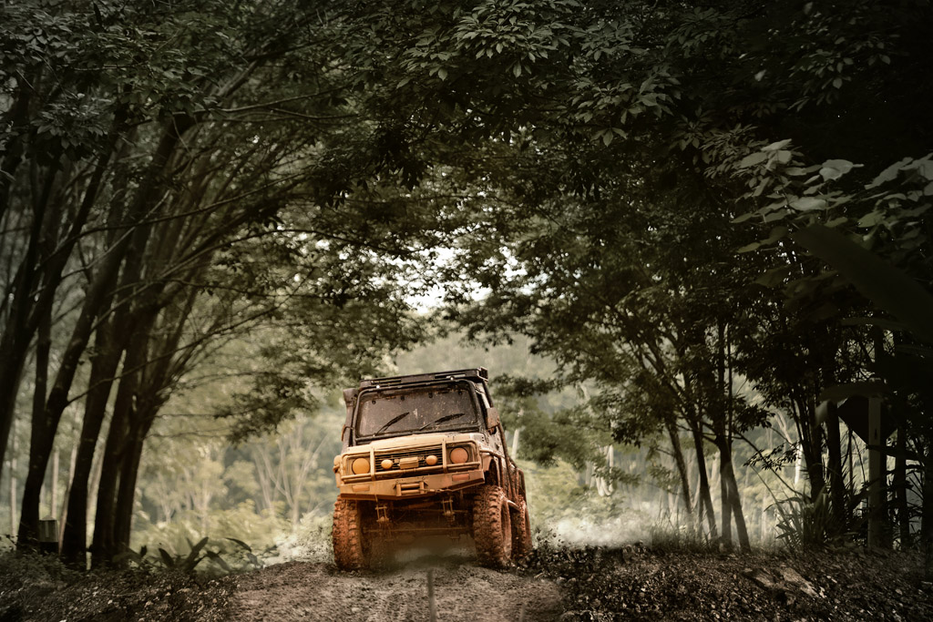 穿过树林的越野车图片