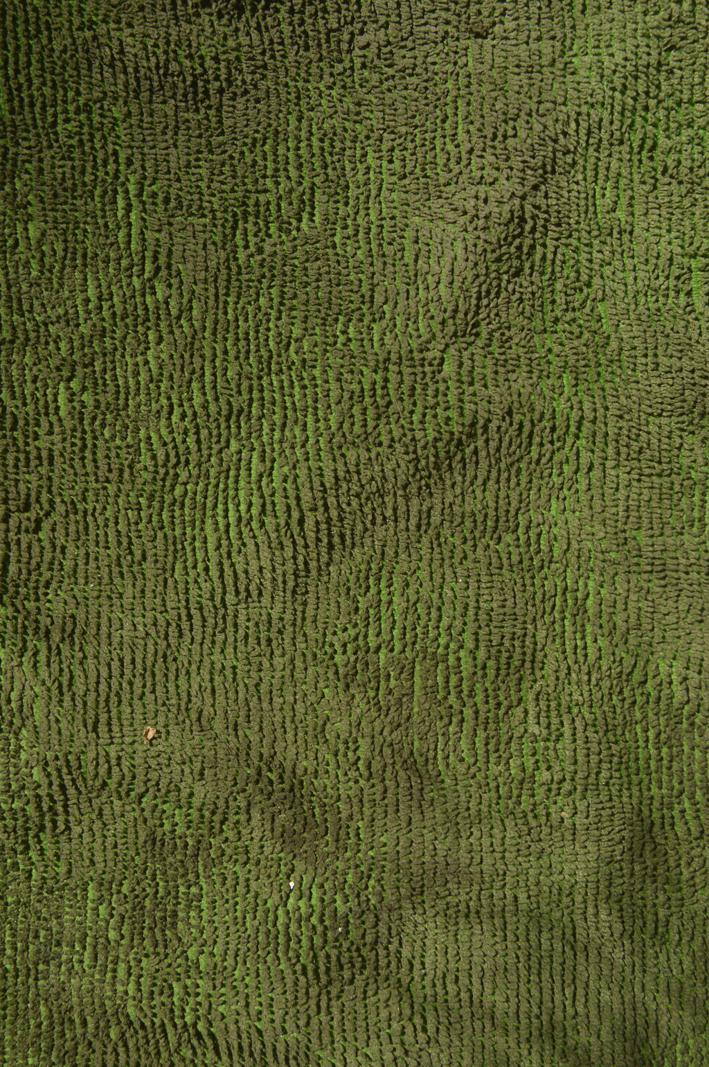 草地纹理背景图片素材下载(图片id:963600)_-底纹背景-图片素材_ 集