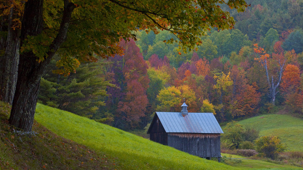 秋天树林小屋图片