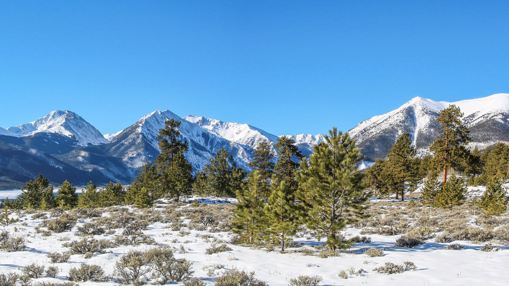 綠樹雪山圖片下載,旅遊風光,自然風光,風景壁紙,雪山,雪地,綠樹,藍天