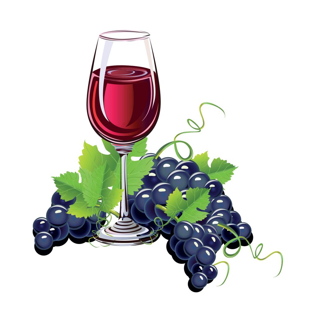 手绘葡萄葡萄酒图片