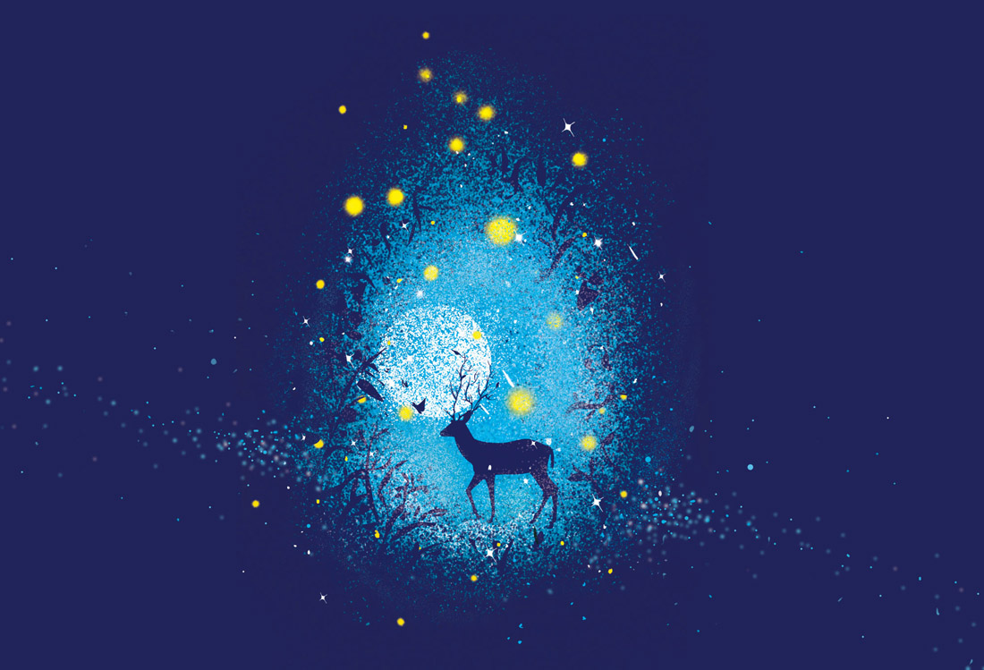 星空下的鹿插画设计