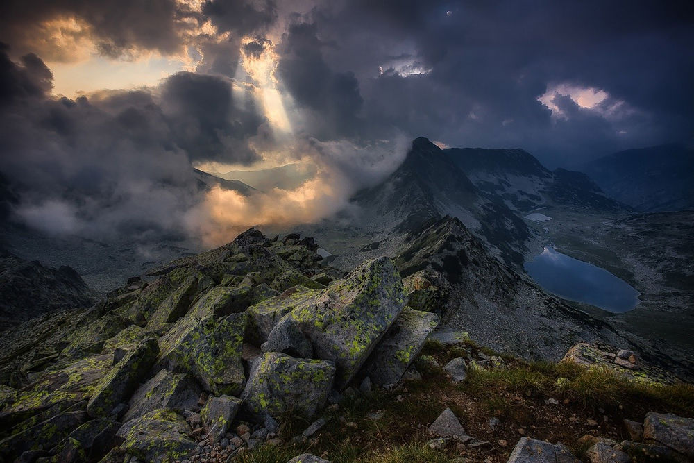 ^,Max Rive,ɽ24616