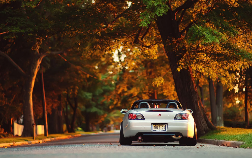 ,ɶһ,,԰,·,ľ,＾,S2000,s2000,36522