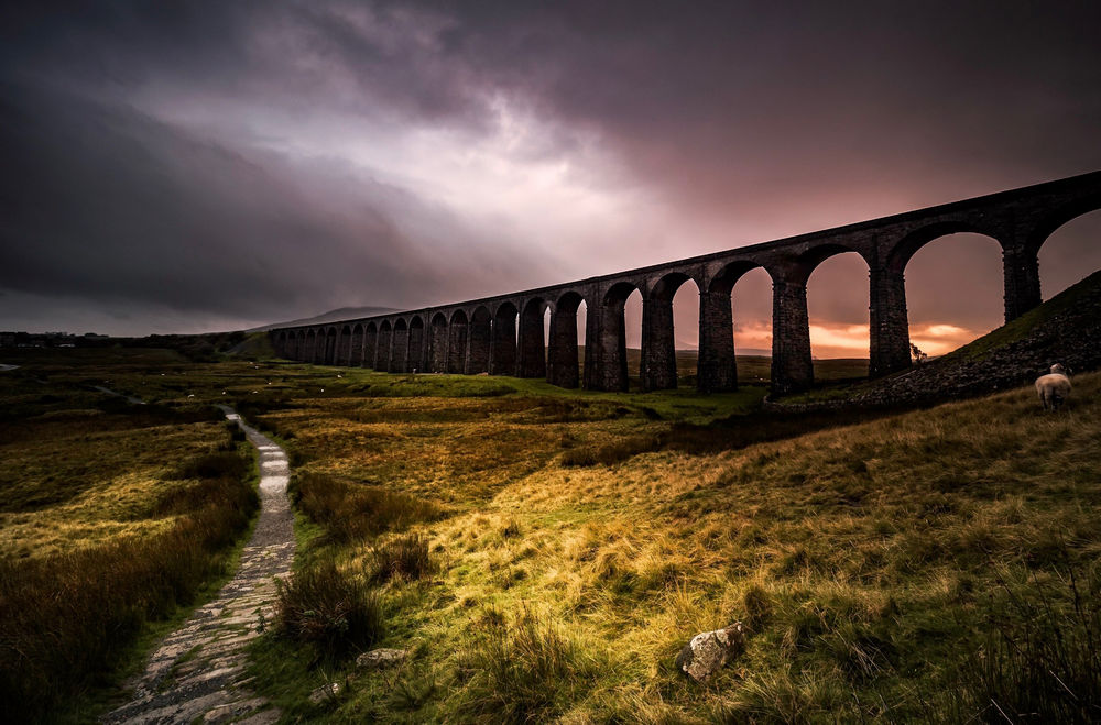 Ribblehead߼,Ӣ,,,566857