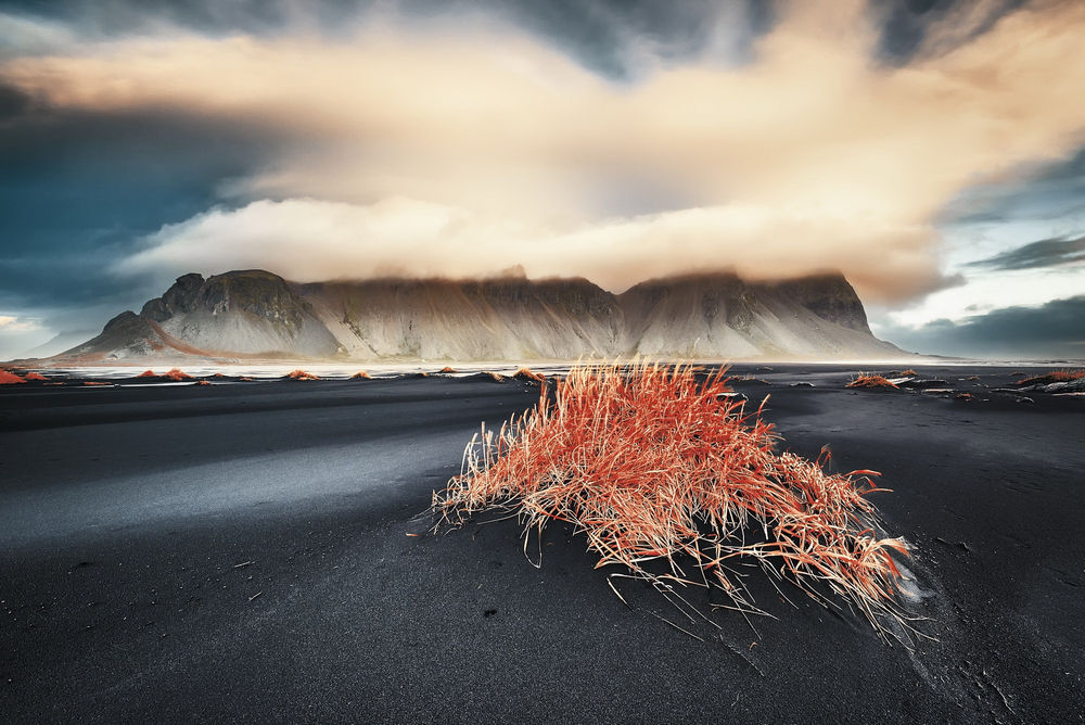 u,,,^,Vestrahorn636833