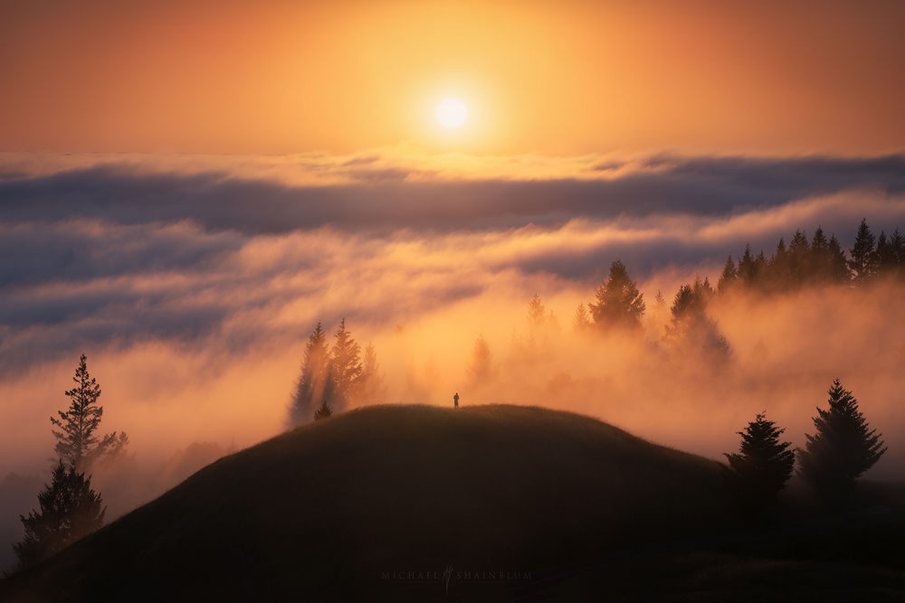 ^,F,(sh)ľ,,Michael Shainblum,̫(yng),fɽ,(gu),,