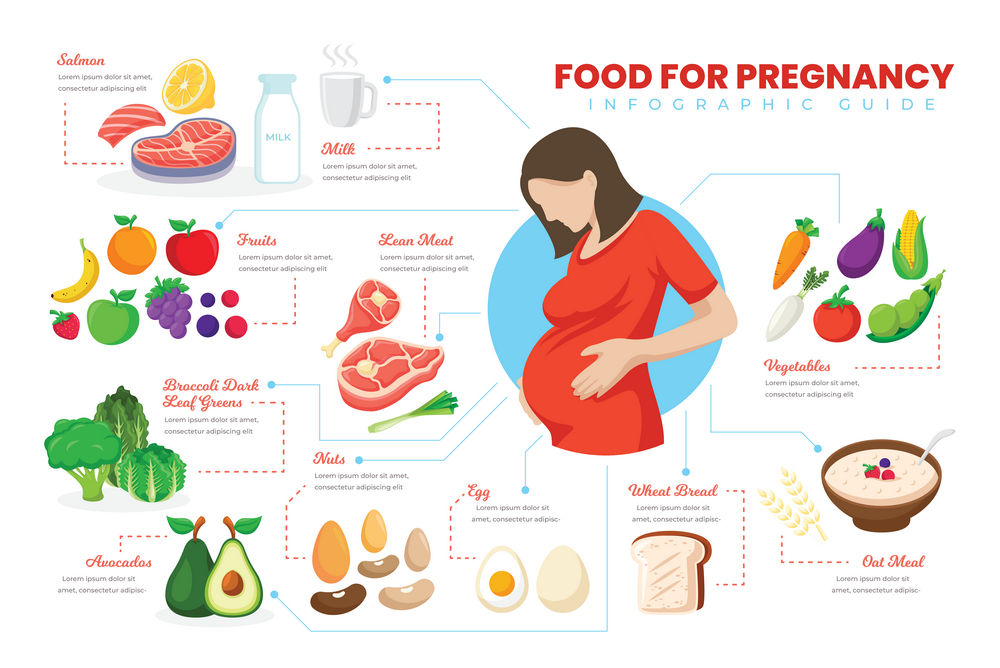 elements-food-for-pregnancy-infographic-psd-and-ai-vector-BC
