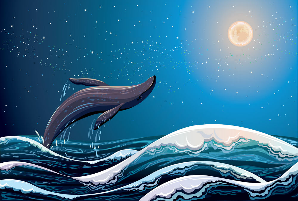 月光鲸鱼 第1页